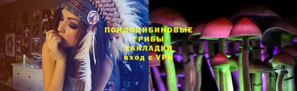 шишки Армянск