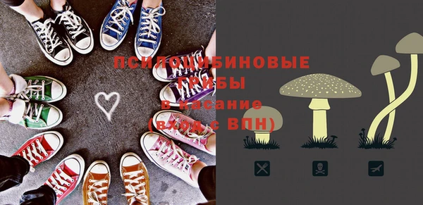 эйфоретик Аркадак