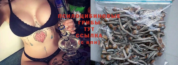 2c-b Баксан