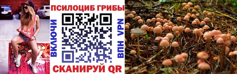 Псилоцибиновые грибы мухоморы  MEGA ссылка  Суровикино 